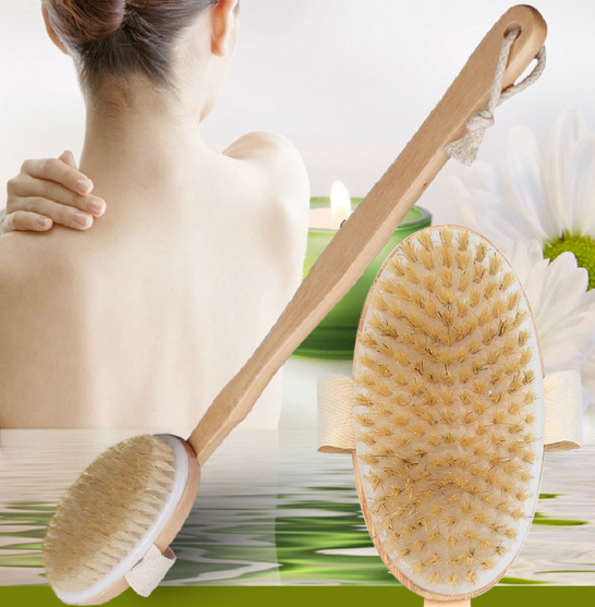 Reach · BC 03-07 — Long-Handled Bristle Bath Brush